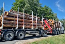 LKW mit Holzstämmen